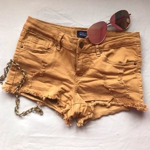 Desert Brown Shorts